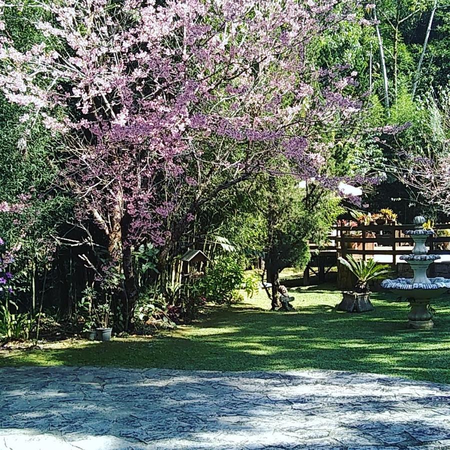 Arara Azul Otel Nova Friburgo Dış mekan fotoğraf