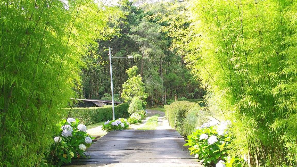 Arara Azul Otel Nova Friburgo Dış mekan fotoğraf