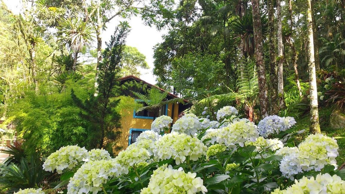 Arara Azul Otel Nova Friburgo Dış mekan fotoğraf